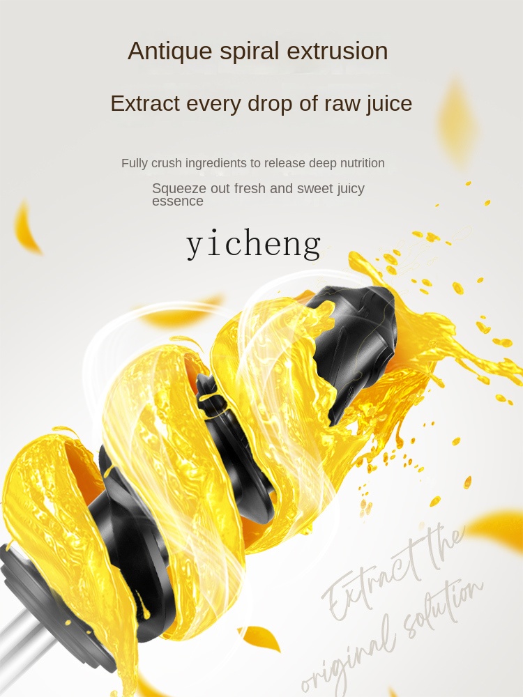 cc28 Low Speed Juicer Juicer S - đánh giá và giá Juicer