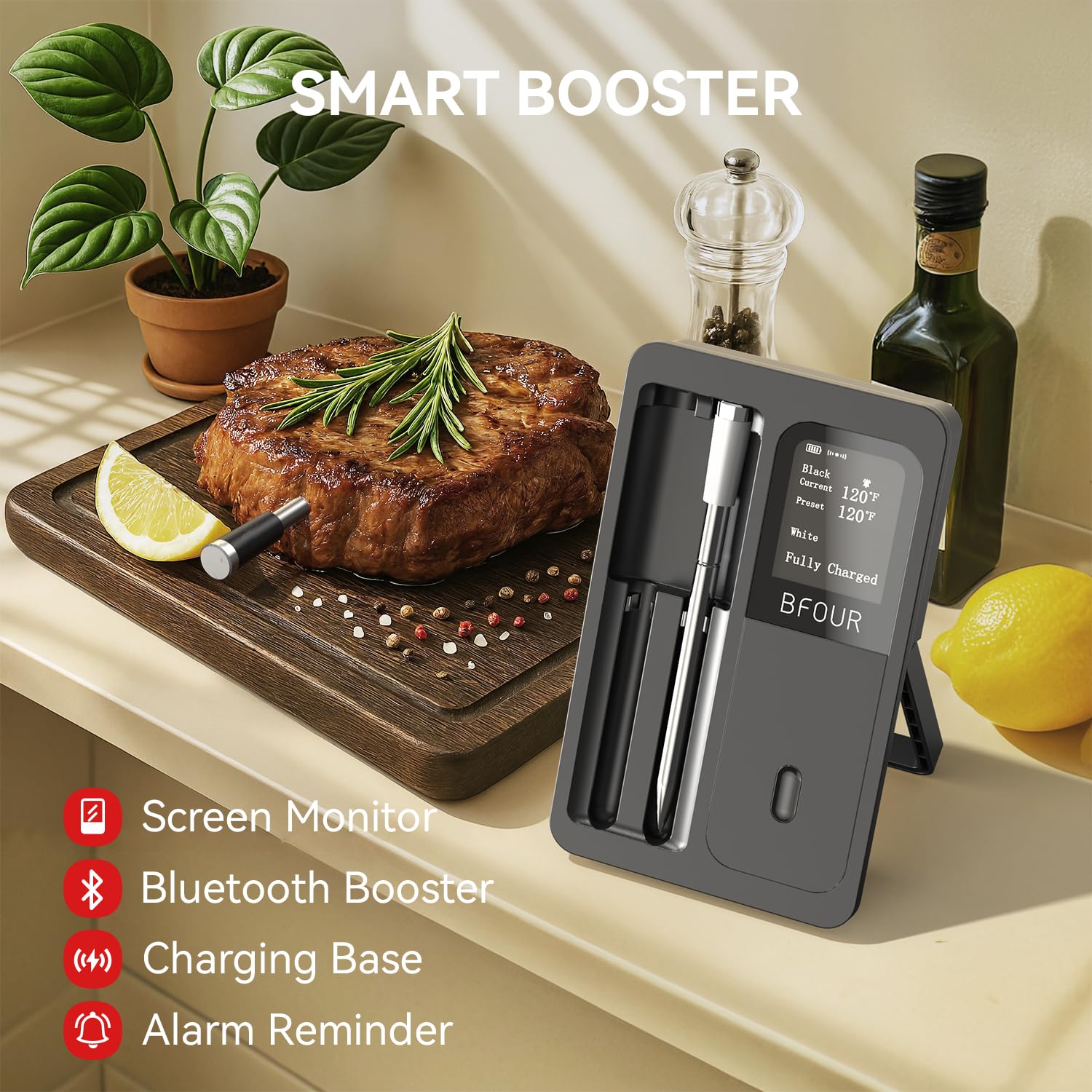 Wireless Meat Thermometer Blue - đánh giá và giá Kitchen Appliances Video