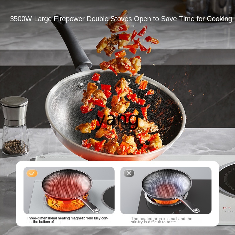 LMM Double Burner Embedded Hou - đánh giá và giá Induction Cooker