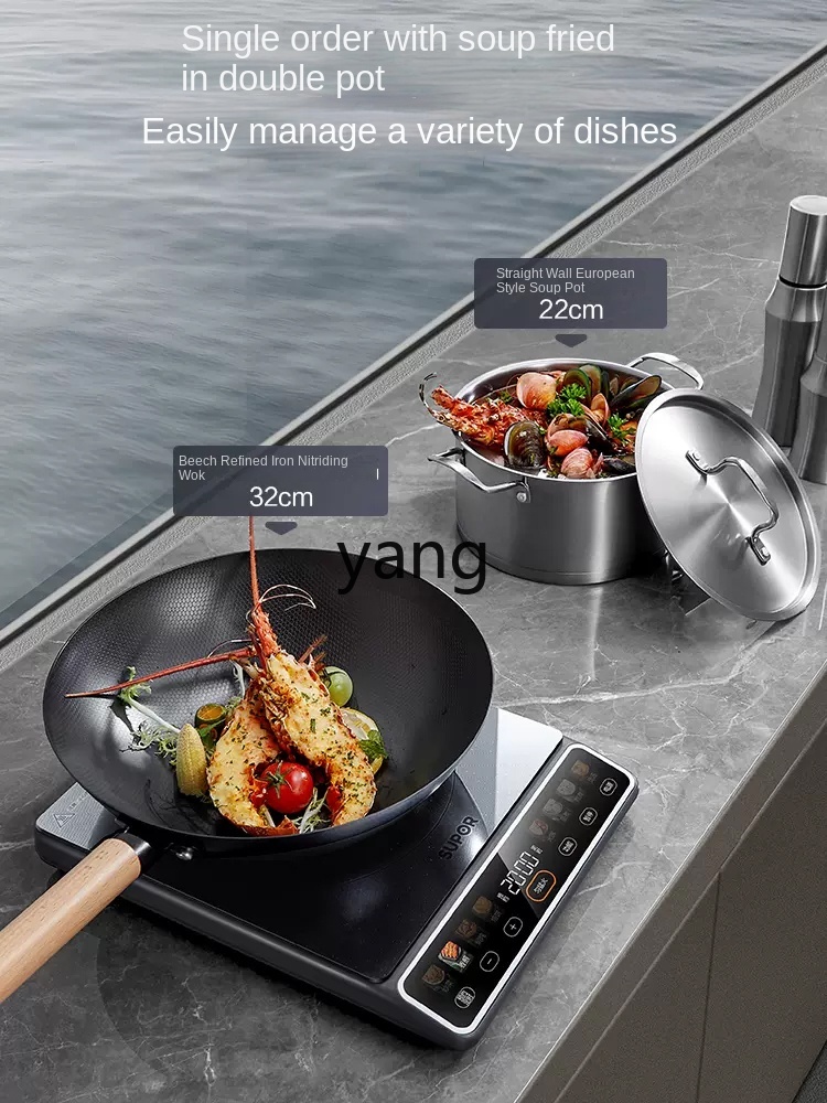 LMM High-Power 2200W Household - đánh giá và giá Induction Cooker