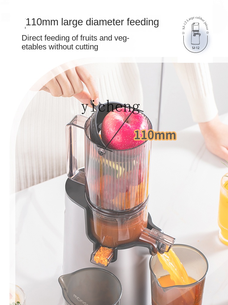 cc28 Juicer Automatic Slag Jui - đánh giá và giá Juicer