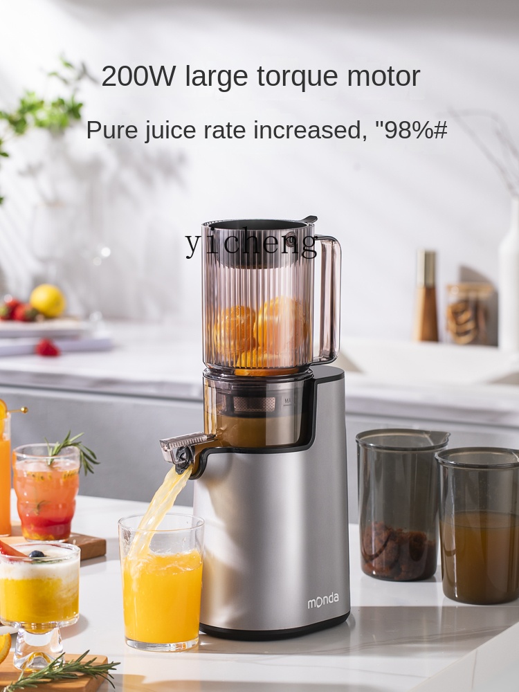 cc28 Juicer Automatic Slag Jui - đánh giá và giá Juicer